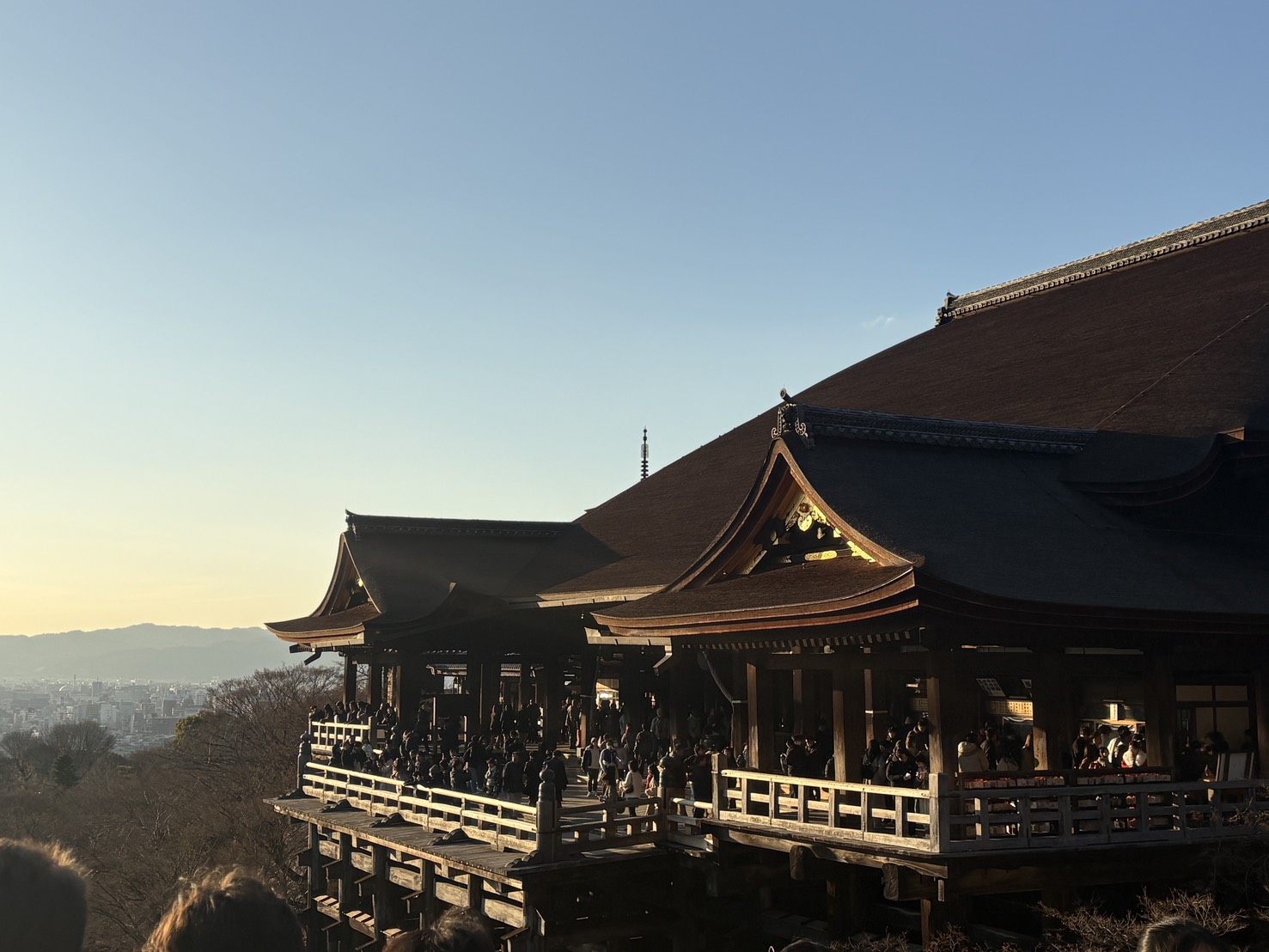 偏った情報には頼らない方がいい